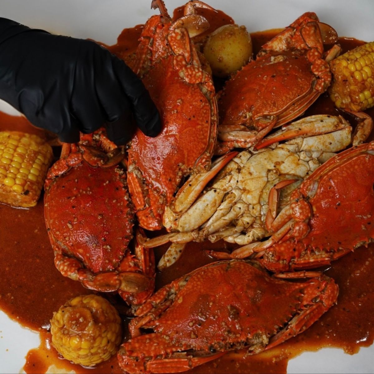 Crab  Cob Bag 1200 x 1200 px without text